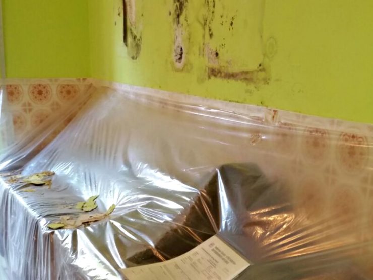 Schimmelbeseitigung HomeFix24