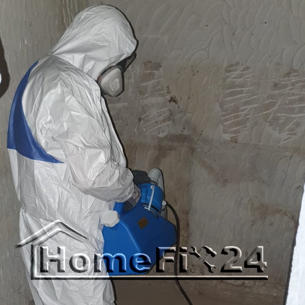 Schimmelbeseitigung Bad Homburg - HomeFix24