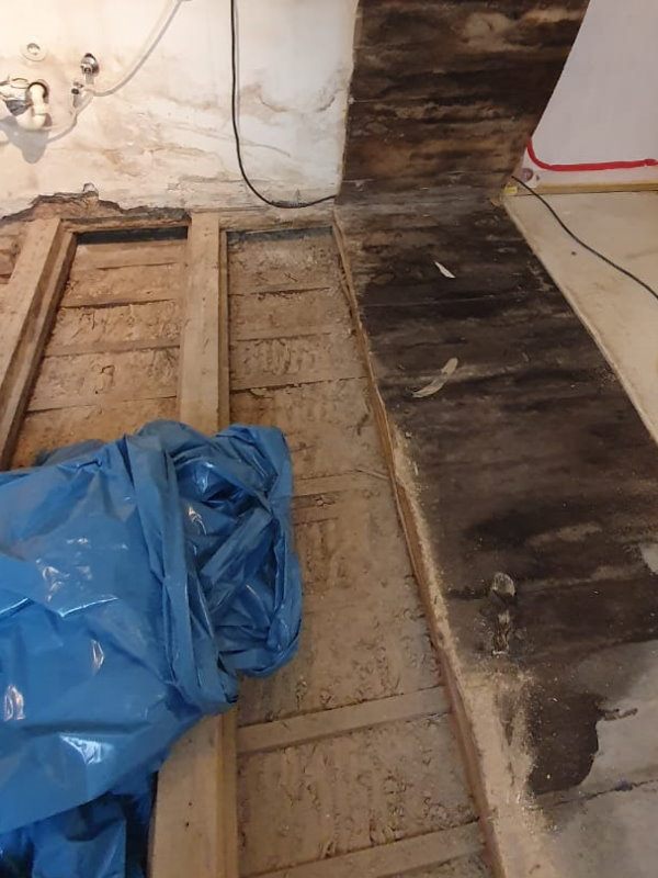Hier ist zu sehen die verschimmelte Holzplaten und beschedichte bau Materialien