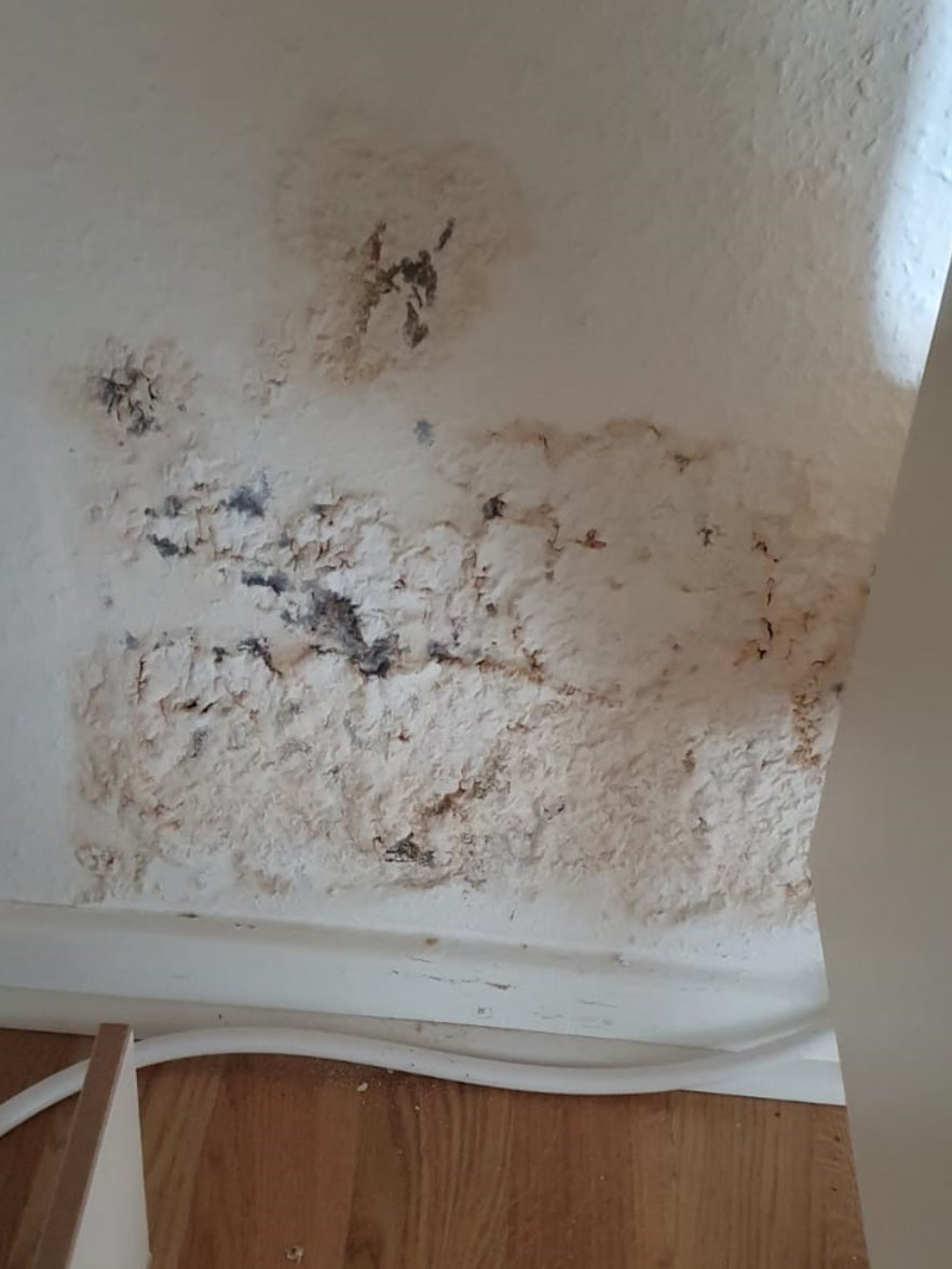 Schimmel, beschädigte Putz nach Wasserschaden, Schlafzimmer, Wasserinfiltration, Kellerwand undicht, Kellerwandsanierung