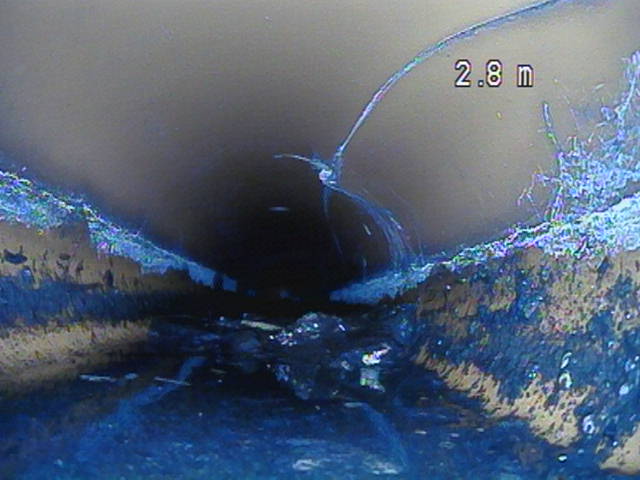 Untersuchung Dachentwässerung Verstopfung, Versetzung, Rohrbruch, Schmutz, stehendes Wasser